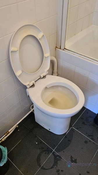  verstopping toilet Zwaag
